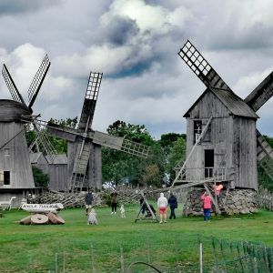 Farma wiatraków Angla / Angla windmill farm